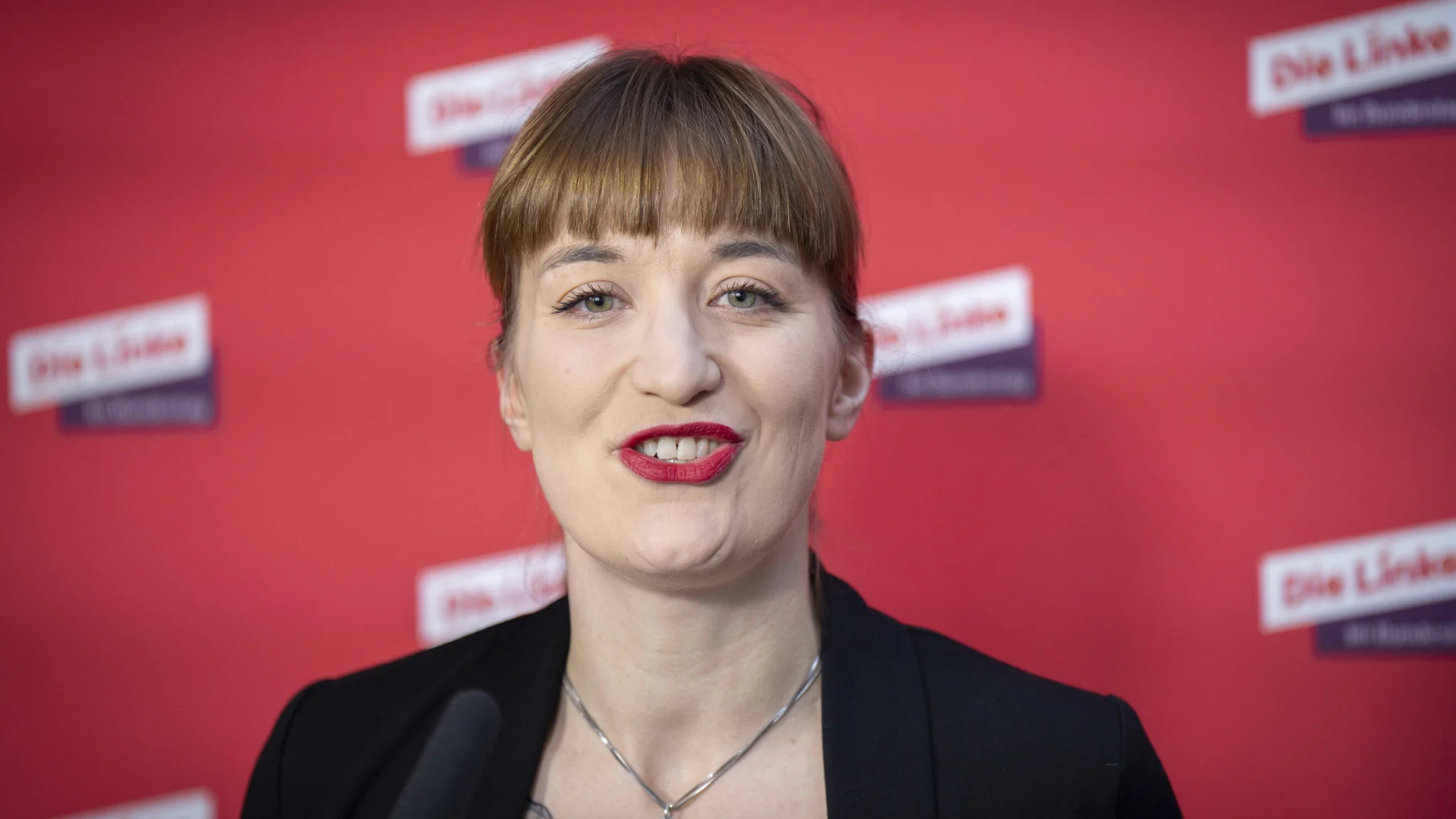 heidi reichinnek partner